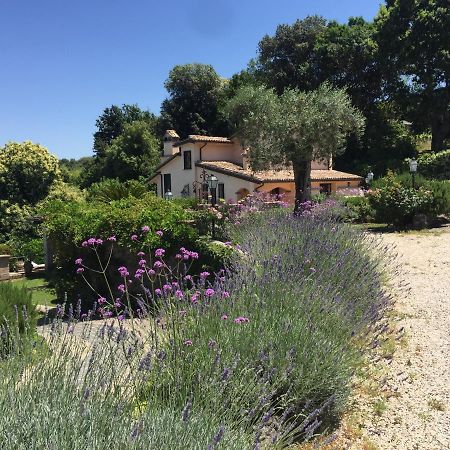 Olivella Villa Кампаняно ди Рома Екстериор снимка