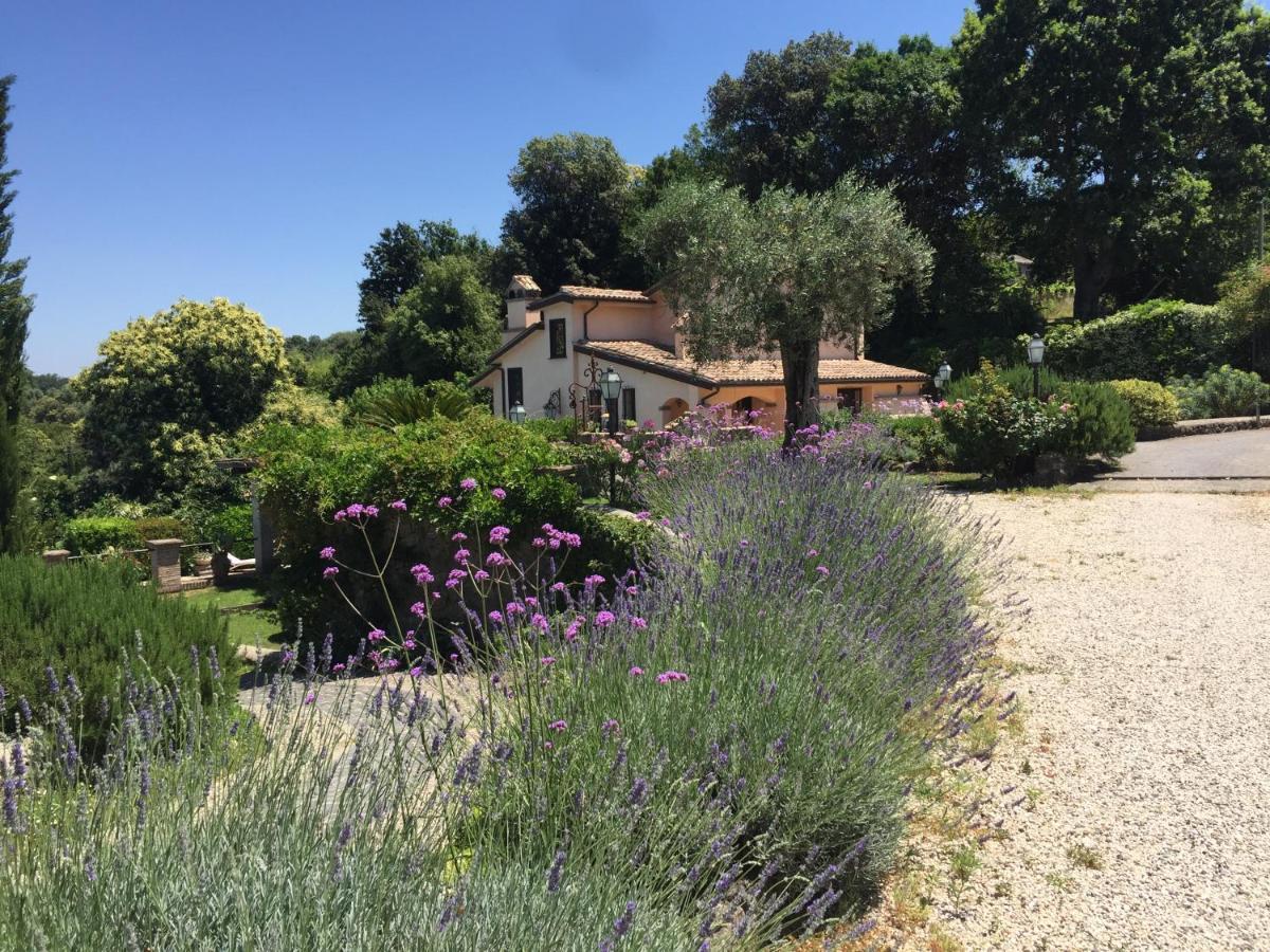 Olivella Villa Кампаняно ди Рома Екстериор снимка
