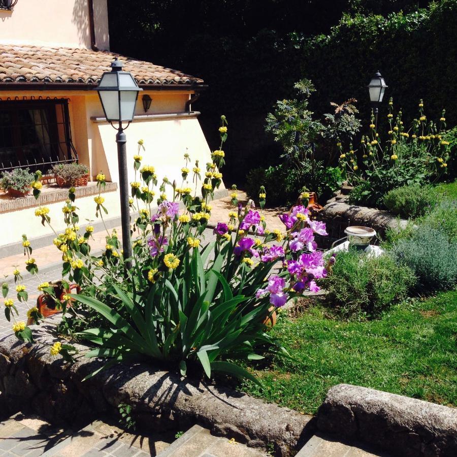 Olivella Villa Кампаняно ди Рома Екстериор снимка