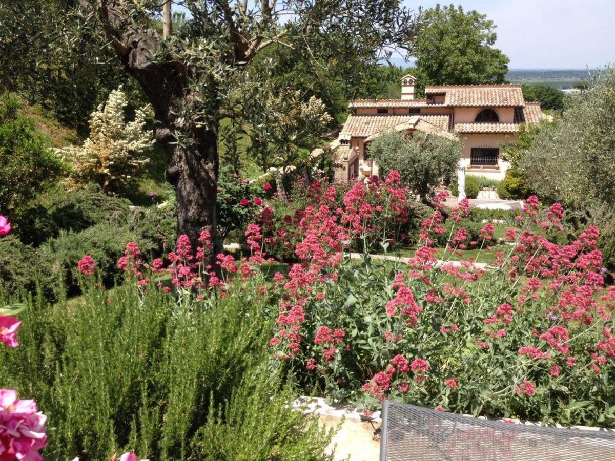 Olivella Villa Кампаняно ди Рома Екстериор снимка