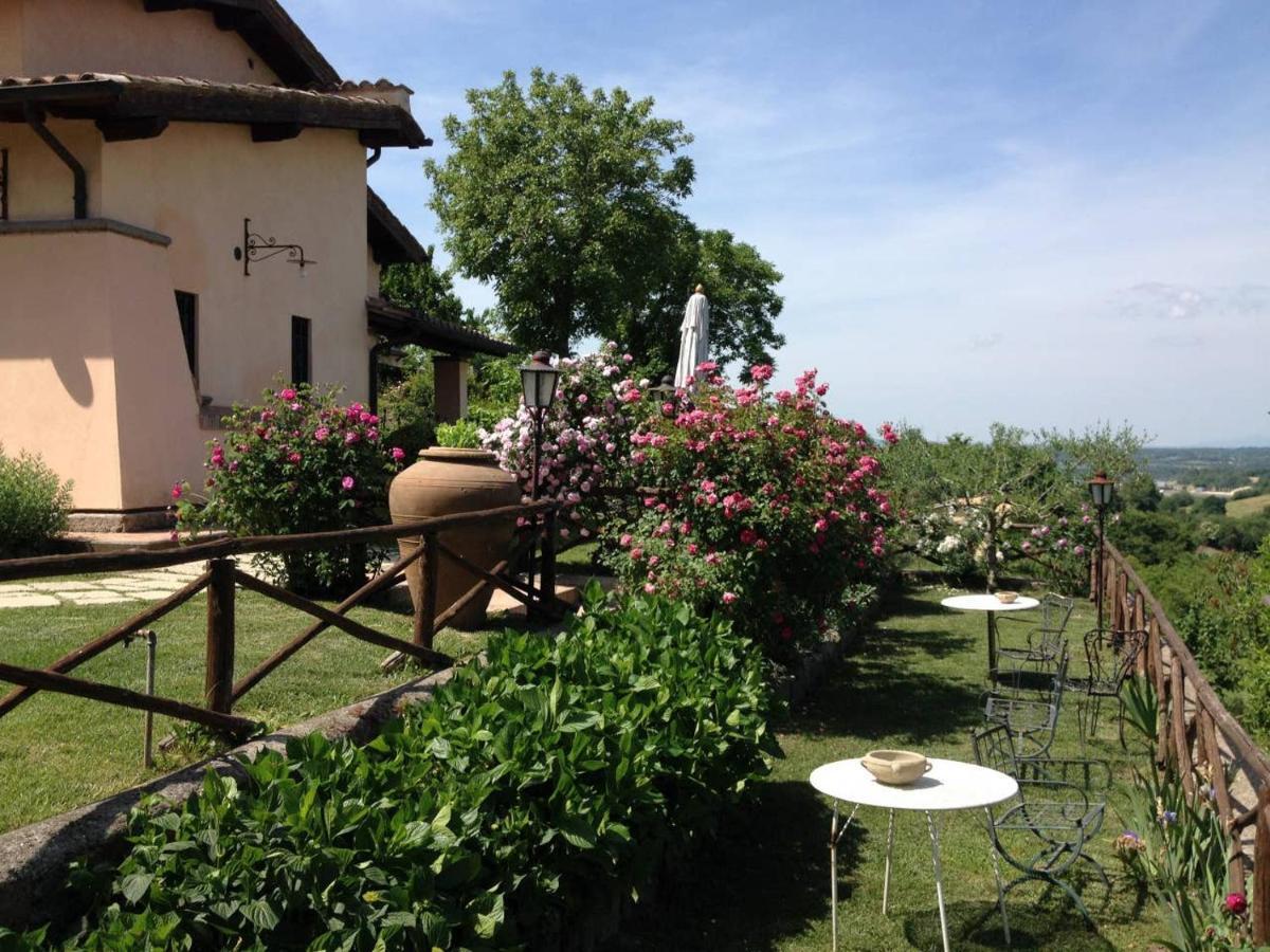 Olivella Villa Кампаняно ди Рома Екстериор снимка